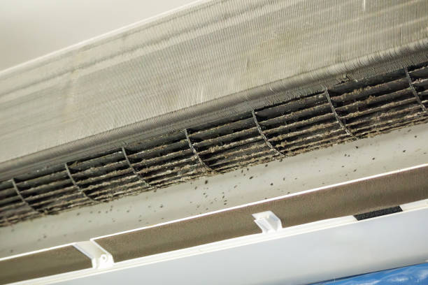 Best Affordable Duct Cleaning Services  in Fairfield, IA